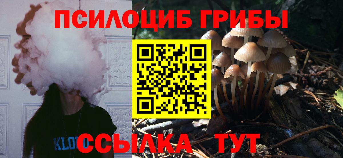 Архангельск  закладки  Галлюциногенные грибы ЛСД  Вход с VPN  Галлюциногенные грибы GOLDEN TEACHER 