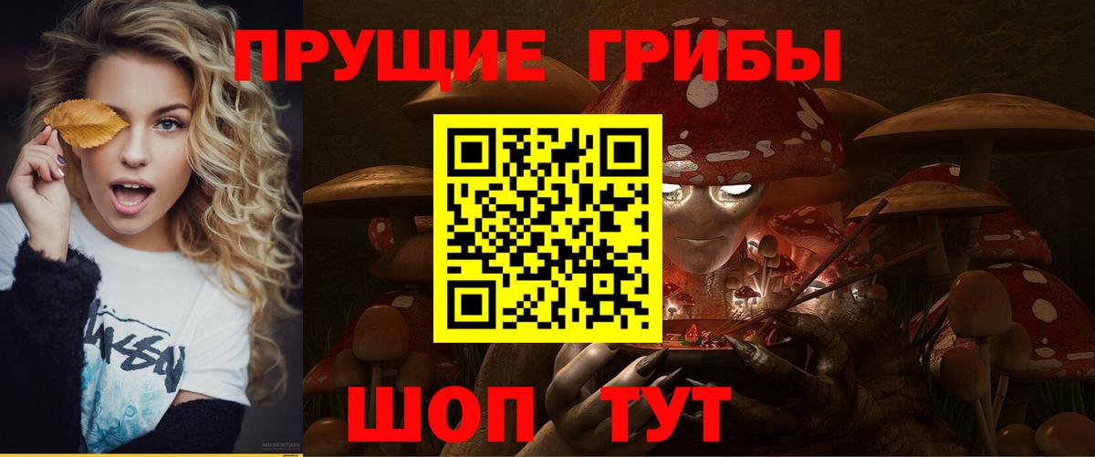 Псилоцибиновые грибы MAGIC MUSHROOMS Архангельск